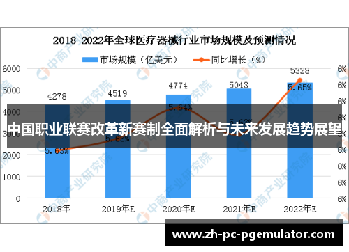 中国职业联赛改革新赛制全面解析与未来发展趋势展望