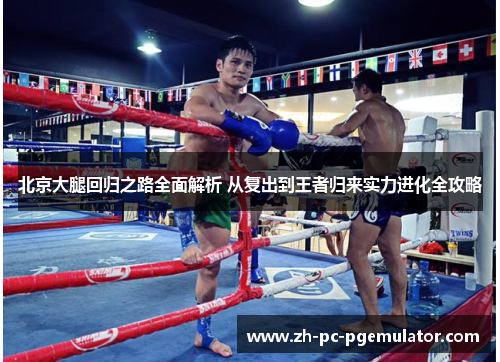 北京大腿回归之路全面解析 从复出到王者归来实力进化全攻略