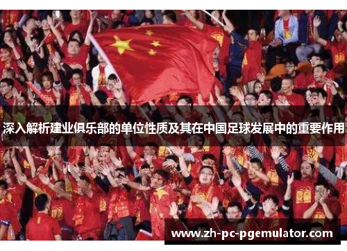 深入解析建业俱乐部的单位性质及其在中国足球发展中的重要作用