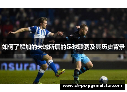 如何了解加的夫城所属的足球联赛及其历史背景 如何了解加的夫城所属的足球联赛及其历史背景