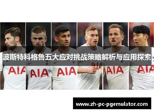 波斯特科格鲁五大应对挑战策略解析与应用探索