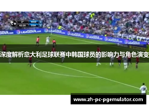 深度解析意大利足球联赛中韩国球员的影响力与角色演变