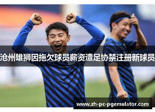 沧州雄狮因拖欠球员薪资遭足协禁注册新球员