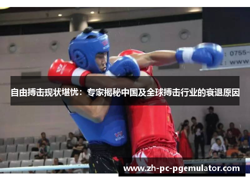 自由搏击现状堪忧：专家揭秘中国及全球搏击行业的衰退原因